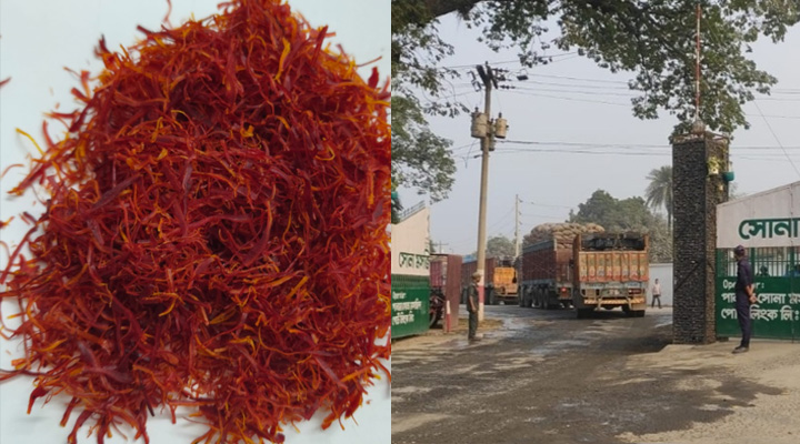 ভারত থেকে আনা চালানে জাফরান জব্দ, সোনা মসজিদে বড় চোরাচালান ধরা
