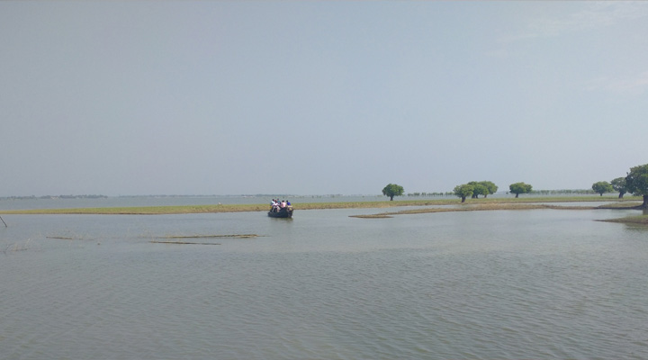 ধান যদি না উঠে কৃষকের ঘরে