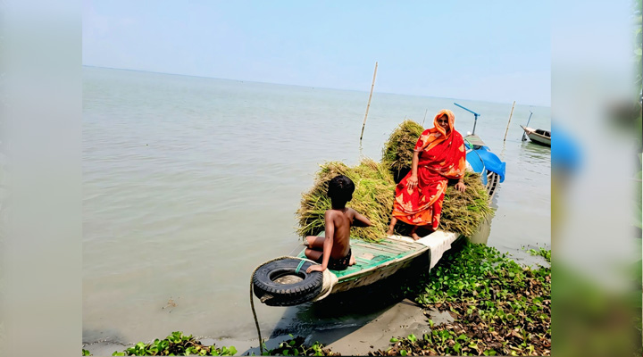 পদ্মার ঢেউয়ে চরাঞ্চলের মানুষের জীবনসংগ্রাম