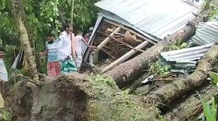 জামালপুরে  ঘরে গাছ ভেঙ্গে পরে মা ও দুই মেয়ের মৃত্যু