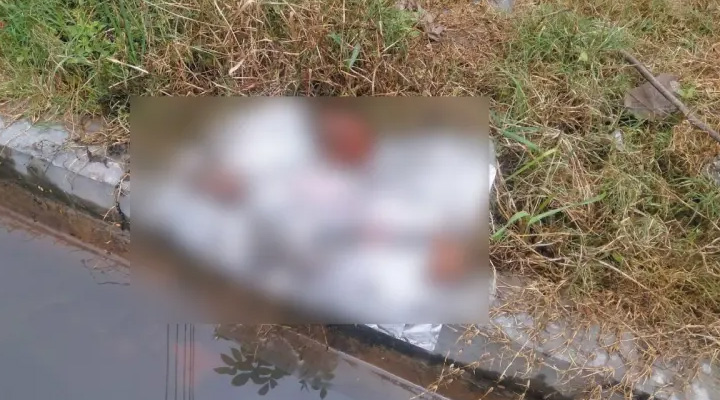 সদর হাসপাতালের অ্যাম্বুলেন্স গ্যারেজের পাশে নবজাতকের মৃতদেহ
