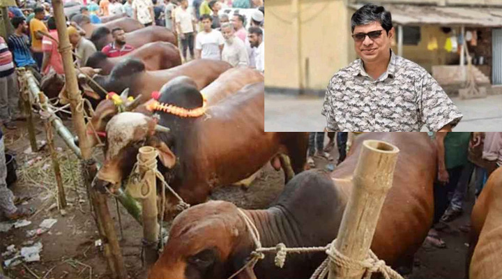 এবার গরুর হাটে চাঁদাবাজি চলবে না