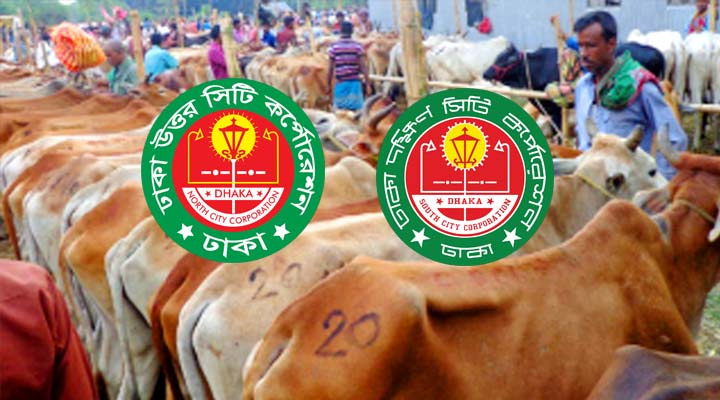 কোরবানির পশুর হাট নিয়ে যে সিদ্ধান্ত নিলো দুই সিটি