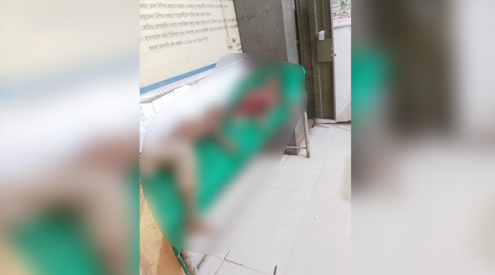 নাজিরপুরে পানিতে ডুবে দুই ভাইয়ের মৃত্যু