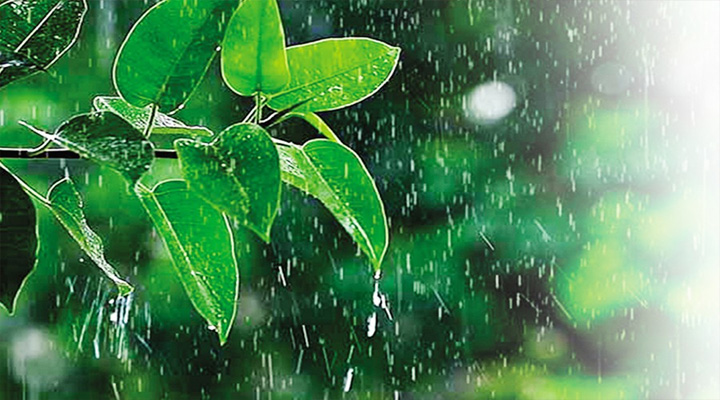 দেশজুড়ে বৃষ্টির সম্ভাবনা, সিলেট-ময়মনসিংহে ভারী বর্ষণের শঙ্কা