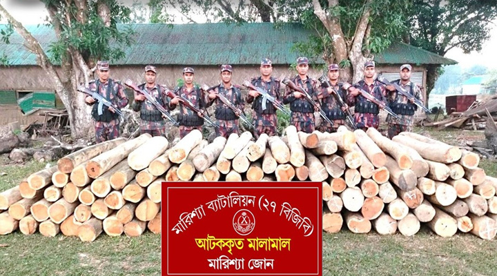বাঘাইছড়িতে সেগুন কাঠ উদ্ধার
