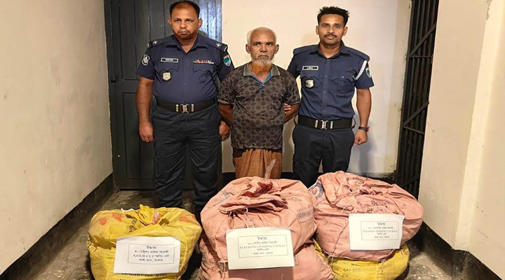 ১৮৮ বান্ডিল আমদানি নিষিদ্ধ বিদেশি ফিসিং নেটসহ আটক ১
