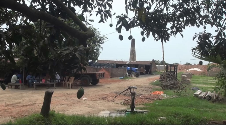 ক্ষতিপূরণ পেলেন ইটভাটার পাশে থাকা অর্ধশতাধিক চাঁপাইনবাবগঞ্জের কৃষক