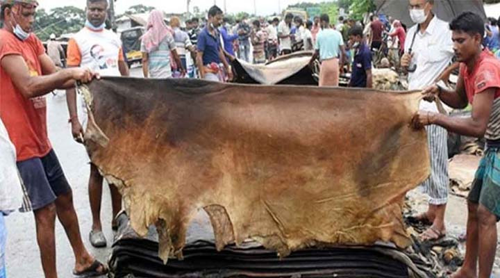 চামড়ার দামে এবার ব্যাপক ধস, হতাশ খুচরা ব্যবসায়ীরা