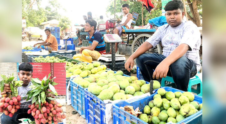 মধুমাসে রসালো ফলে মাতোয়ারা প্রকৃতি