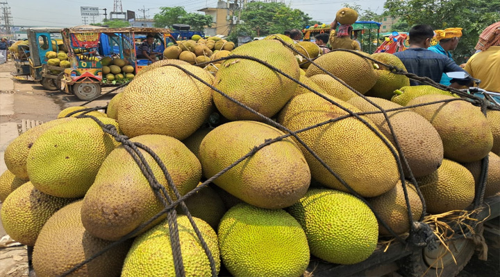 সংরক্ষণের ব্যবস্থা না থাকায় ন্যায্যমূল্য পান না বাগান মালিকরা