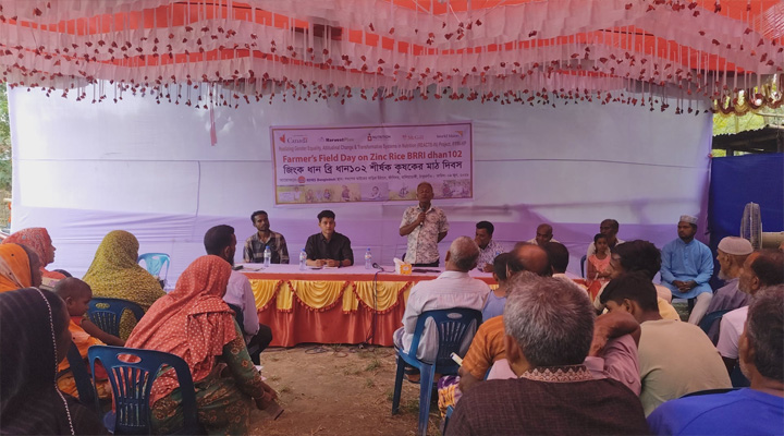 বালিয়াডাঙ্গীতে জিংক সমৃদ্ধ ব্রিধান-১০২ এর কৃষক মাঠ দিবস