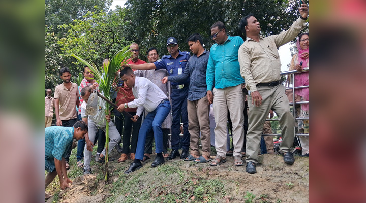 সবুজ বাংলাদেশ গড়তে পীরগঞ্জে বৃক্ষরোপণ কর্মসূচি শুরু