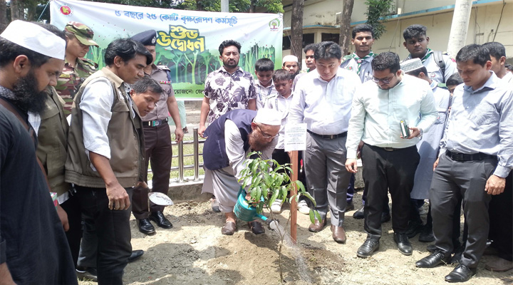 লক্ষ্মীপুরে বৃক্ষরোপন কর্মসূচি উদ্বোধন