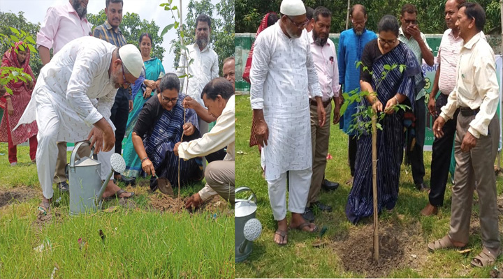 গোদাগাড়ীতে বৃক্ষরোপণ কর্মসূচির উদ্বোধন