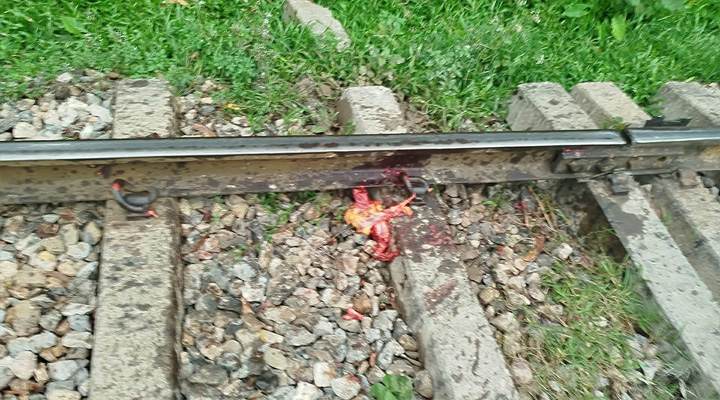 ময়মনসিংহে ট্রেনে কেটে অজ্ঞাতনামা নারীর মৃত্যু
