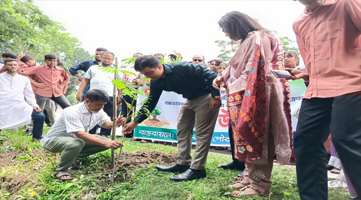 উজিরপুর পৌরসভায় বৃক্ষরোপণ কার্যক্রম