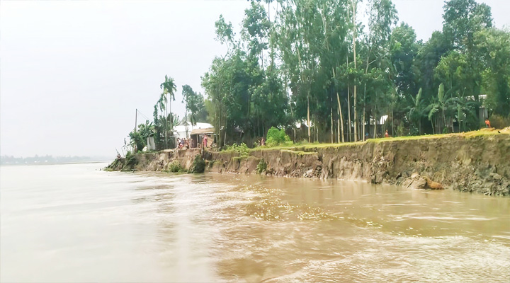 ব্রহ্মপুত্রের ভাঙনে গোয়ালপুরী চরে গৃহহীন ৩০ পরিবার