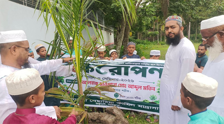 নাঙ্গুলী নেছারিয়া কামিল মাদ্রাসায় ‘বৃক্ষরোপণ’, র‍্যালি ও সেমিনার