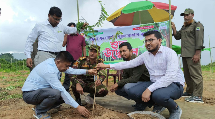 আলীকদমে ২ লাখ বৃক্ষরোপণ