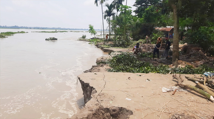 বন্যার পানি কমতেই ভাঙনের থাবা; বিলীন বসতভিটা-ফসলি জমি সহ নানা স্থাপনা...