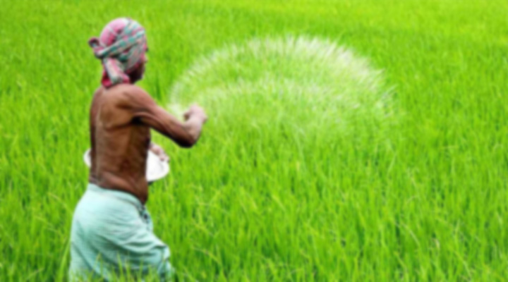 অতিরিক্ত সার ব্যবহার, কৃষির জন্য নীরব হুমকি