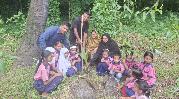 ধামসর সরকারি প্রাথমিক বিদ্যালয়ে বৃক্ষরোপণ