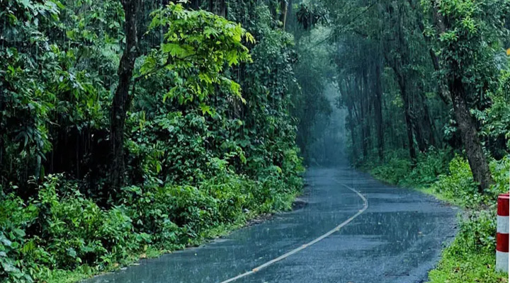 বৃষ্টিভেজা গারো পাহাড়ে একদিন