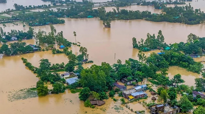 চট্টগ্রাম বিভাগে বন্যায় প্রাণিসম্পদ খাতে ক্ষতি ৭৭ কোটি