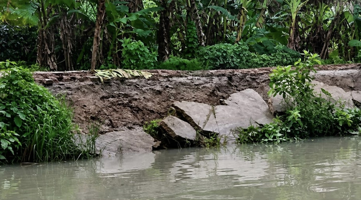 নেছারাবাদে ভাঙনে বিলীন সড়ক, দুর্ভোগে হাজারো মানুষ