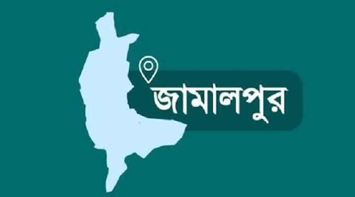 জামালপুরে মাছ কিনতে গিয়ে ট্রাক চাপায় নিহত ১