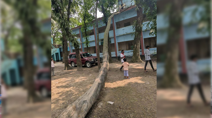 অষ্টগ্রামে পরিবেশ উন্নয়নে ইউএনও’র মহৎ উদ্যোগ