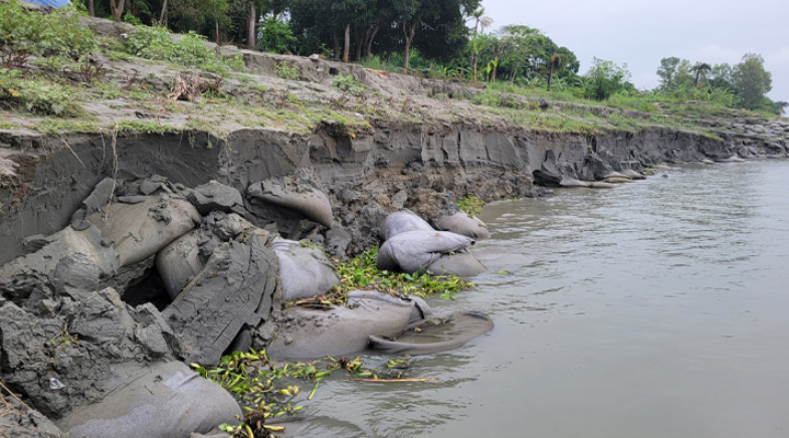 নাসার রিপোর্টে সবচেয়ে ভাঙনপ্রবণ হরিরামপুর, বালুমহালে বাড়ছে আতঙ্ক