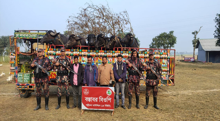 নওগাঁয় ভারতীয় ৬ মহিষসহ আটক-৪