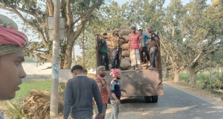 লোকসানে আলু চাষীরা, সাড়ে ৯ টাকা কেজিতে বিক্রি