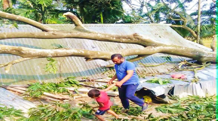 সুন্দরগঞ্জে কালবৈশাখী ঝড়ে ব্যাপক ক্ষয়ক্ষতি