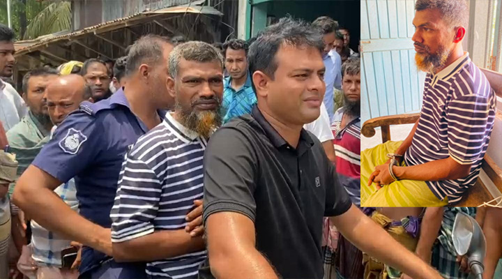 রাঙ্গাবালীতে বুনো মহিষের মাংসসহ একজন আটক