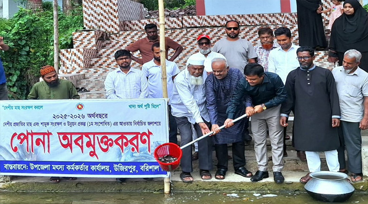 উজিরপুরের হাবিবপুর খালে মাছের পোনা অবমুক্ত
