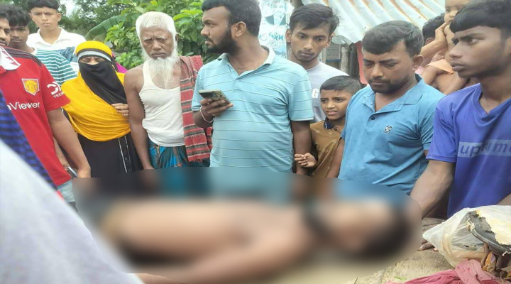 উজিরপুরের সাতলার লাল শাপলা বিলে নৌকা থেকে পড়ে তরুণ পর্যটকের মৃত্যু