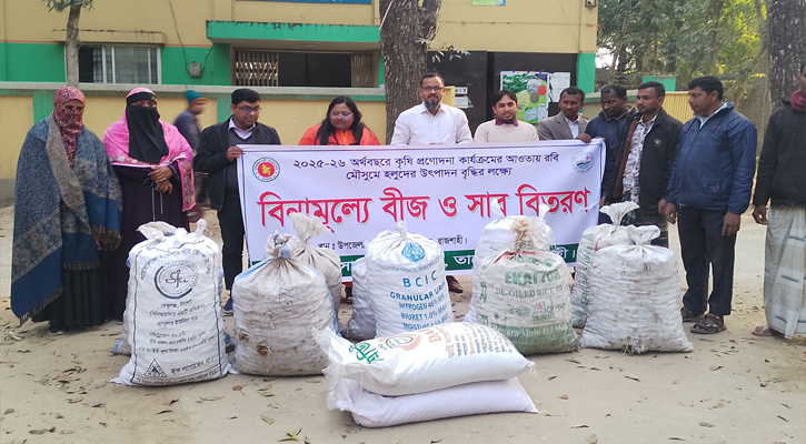 তানোরে সার ও হলুদ বীজ বিতরণ