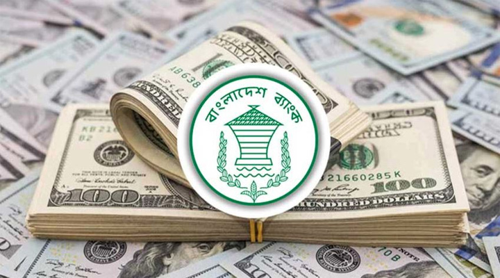 ১২ দিনে দেশে এলো ১৩২ কোটি ৫০ লাখ ডলার রেমিট্যান্স