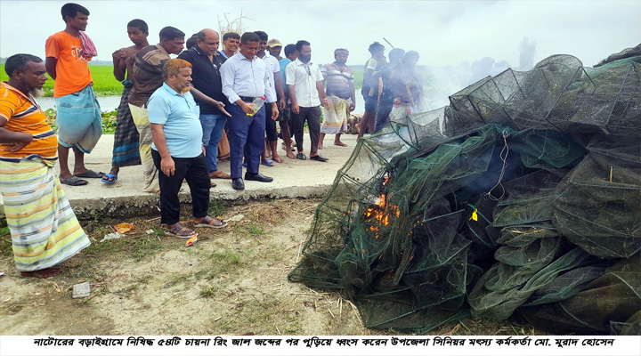 বড়াইগ্রামে চায়না রিং জাল পুড়িয়ে ধ্বংস