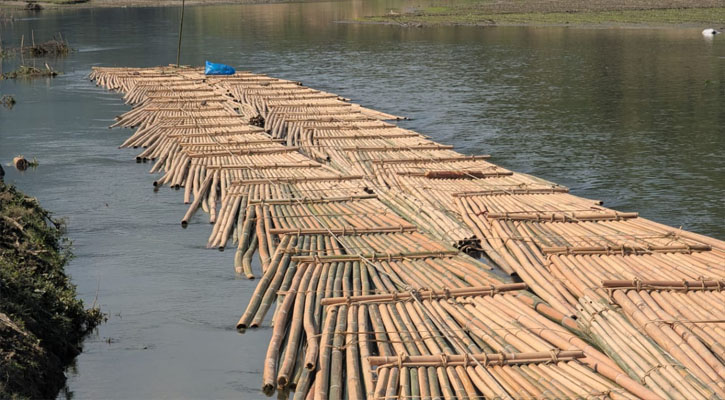 অবৈধ বাঁশ নিধন হচ্ছে টাকার বিনিময়ে